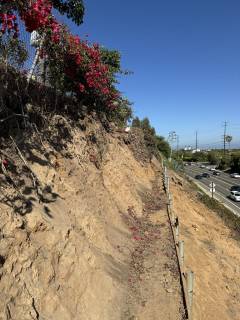 IMG_3085-large-rotated