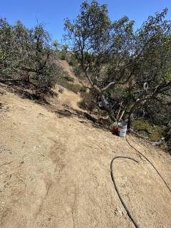 IMG_7433-large-rotated