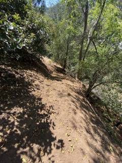 IMG_7444-large-rotated