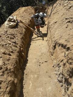 IMG_7028-large-rotated