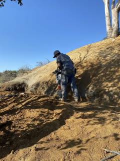 IMG_7300-large-rotated